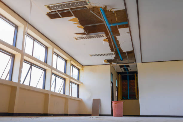 Best Professional water damage repair  in Bellbrook, OH