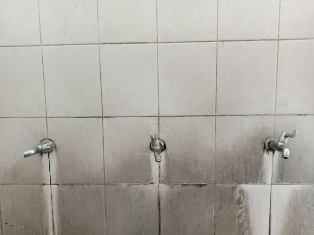 Best Flooded house restoration  in Bellbrook, OH